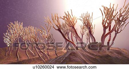 Fungus releasing spores, illustration View Large Photo Image Picture - Fungus releasing spores, illustration. Fotosearch