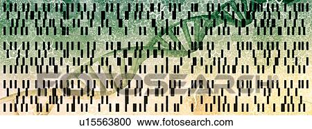 Stock Image - Genetic research, conceptual illustration. Fotosearch