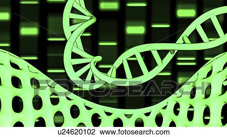 Stock Image - Genetic research, conceptual illustration. Fotosearch