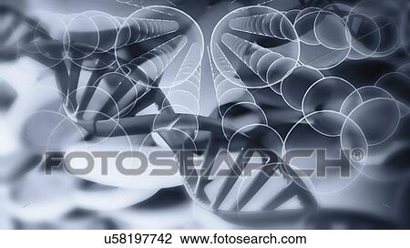 Stock Image - Genome editing, conceptual illustration. Fotosearch