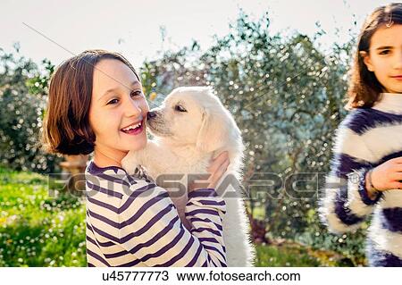 Girl and her friend holding a cute golden retriever puppy in orchard, Scandicci, Tuscany, Italy View Large Photo Image Stock Image - Girl and her friend holding a cute golden retriever puppy in orchard, Scandicci, Tuscany, Italy. Fotosearch