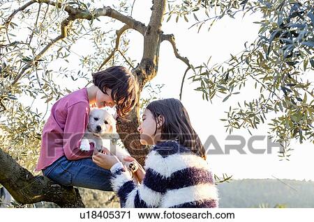 Girl and her friend petting a cute golden retriever puppy in orchard, Scandicci, Tuscany, Italy View Large Photo Image Stock Image - Girl and her friend petting a cute golden retriever puppy in orchard, Scandicci, Tuscany, Italy. Fotosearch