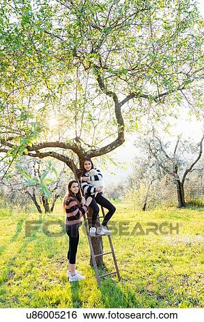 Stock Photograph - Girl and her sister holding a cute golden retriever puppy on tree ladder in sunlit orchard, portrait, Scandicci, Tuscany, Italy. Fotosearch