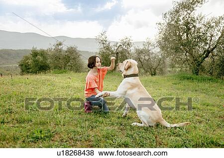 Stock Photo - Girl crouching to play with labrador dog in scenic field landscape, Citta della Pieve, Umbria, Italy. Fotosearch