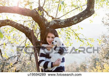 Stock Photo - Girl holding a cute golden retriever puppy on tree ladder in sunlit orchard, portrait, Scandicci, Tuscany, Italy. Fotosearch