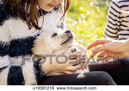 Stock Photograph - Girls sitting outdoors petting cute golden retriever puppy, cropped. Fotosearch