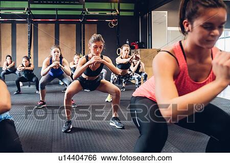 Group of women training in gym, squatting View Large Photo Image Stock Photograph - Group of women training in gym, squatting. Fotosearch
