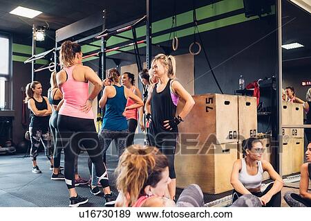 Group of women training in gym, taking a break chatting View Large Photo Image Stock Photo - Group of women training in gym, taking a break chatting. Fotosearch