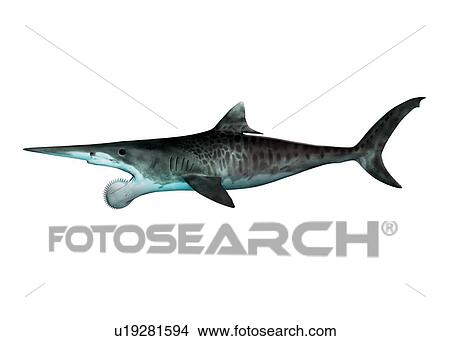 Picture - Helicoprion prehistoric fish, illustration. Fotosearch