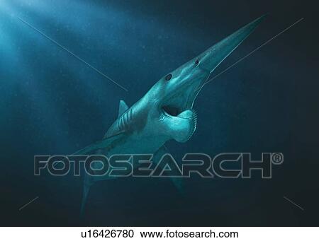 Stock Image - Helicoprion prehistoric fish, illustration. Fotosearch