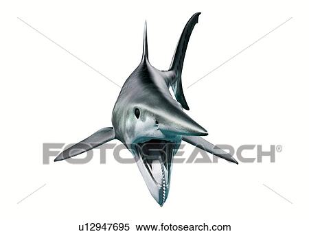 Stock Photography - Helicoprion prehistoric fish, illustration. Fotosearch