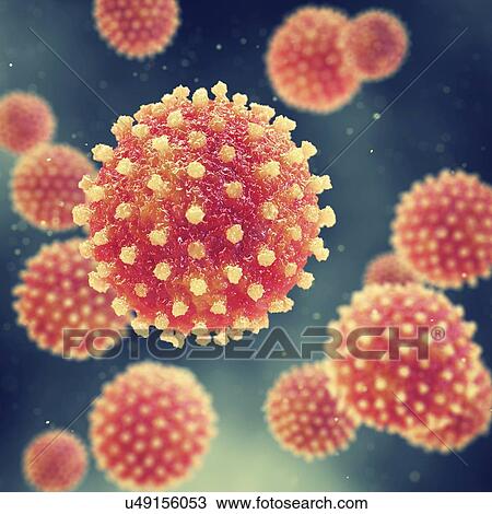 Hepatitis viruses, illustration View Large Photo Image Stock Image - Hepatitis viruses, illustration. Fotosearch