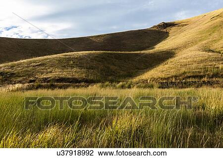 Stock Image - Hill by field in Bellevue, Idaho, USA. Fotosearch