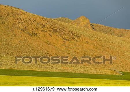 Stock Photo - Hill by field in Picabo, Idaho, USA. Fotosearch