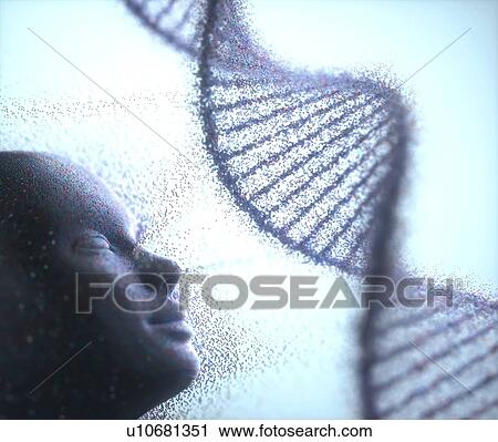 Stock Image - Human cloning, conceptual illustration. Fotosearch