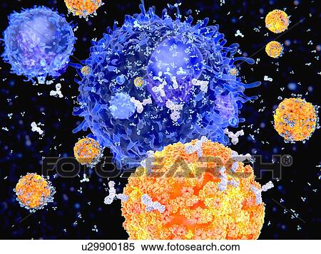 Immune response to a virus, illustration View Large Photo Image Stock Photography - Immune response to a virus, illustration. Fotosearch