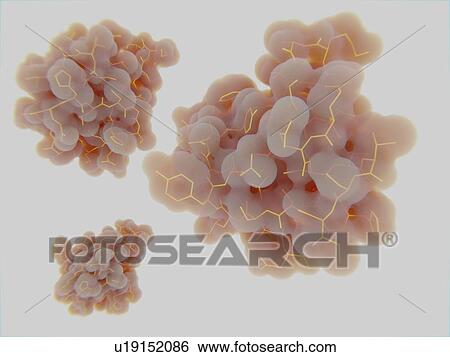 Stock Photograph - Insulin molecule, illustration. Fotosearch