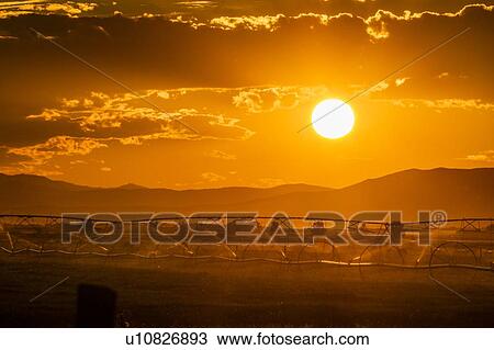 Stock Image - Irrigation in field at sunset in Picabo, Idaho, USA. Fotosearch