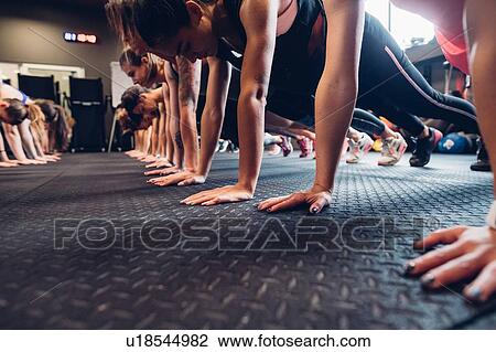 Large group of women training in gym, in rows doing push ups, surface level View Large Photo Image Stock Image - Large group of women training in gym, in rows doing push ups, surface level. Fotosearch