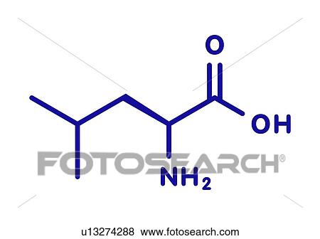 Leucine amino acid molecule, illustration View Large Photo Image Stock Photo - Leucine amino acid molecule, illustration. Fotosearch