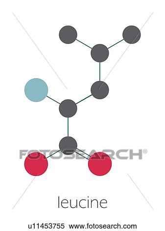 Leucine amino acid molecule, illustration View Large Photo Image Stock Photography - Leucine amino acid molecule, illustration. Fotosearch