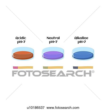 Stock Photo - Litmus test for pH, illustration. Fotosearch