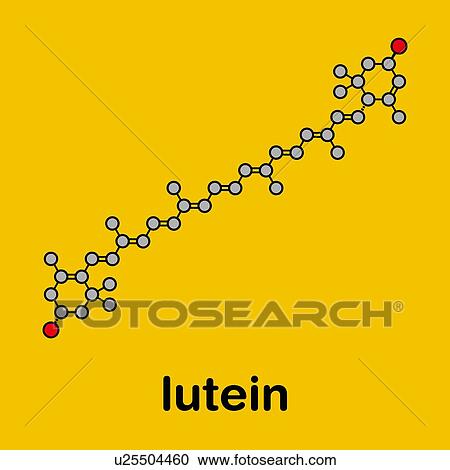 Lutein yellow-orange plant pigment molecule, illustration View Large Photo Image Stock Image - Lutein yellow-orange plant pigment molecule, illustration. Fotosearch