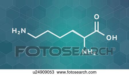 Stock Image - Lysine amino acid molecule, illustration. Fotosearch