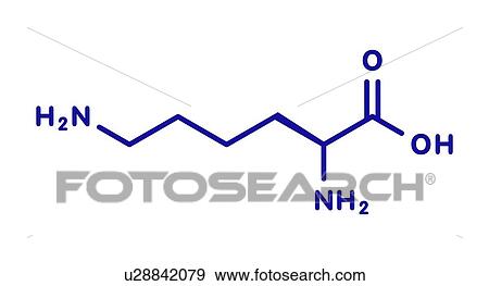 Stock Photo - Lysine amino acid molecule, illustration. Fotosearch