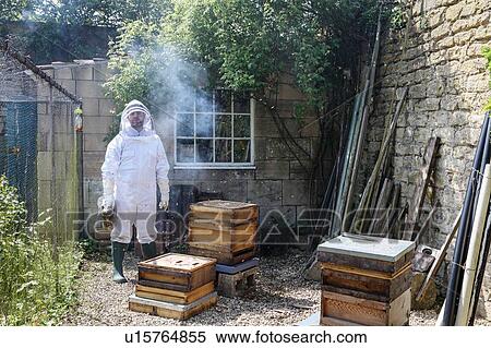 Male beekeeper carrying bee smoker in walled garden, portrait View Large Photo Image Stock Photography - Male beekeeper carrying bee smoker in walled garden, portrait. Fotosearch