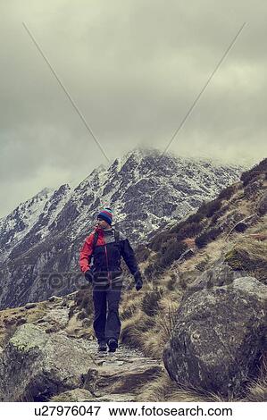 Male hiker hiking in rugged landscape with snow capped mountains, Llanberis, Gwynedd, Wales View Large Photo Image Stock Photo - Male hiker hiking in rugged landscape with snow capped mountains, Llanberis, Gwynedd, Wales. Fotosearch