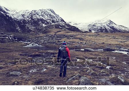 Male hiker looking out at rugged landscape with snow capped mountains, rear view, Llanberis, Gwynedd, Wales View Large Photo Image Stock Photography - Male hiker looking out at rugged landscape with snow capped mountains, rear view, Llanberis, Gwynedd, Wales. Fotosearch