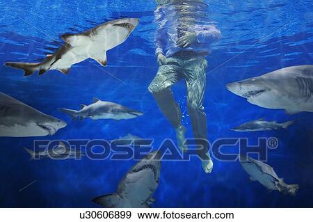 Stock Photo - Man surrounded by sharks. Fotosearch