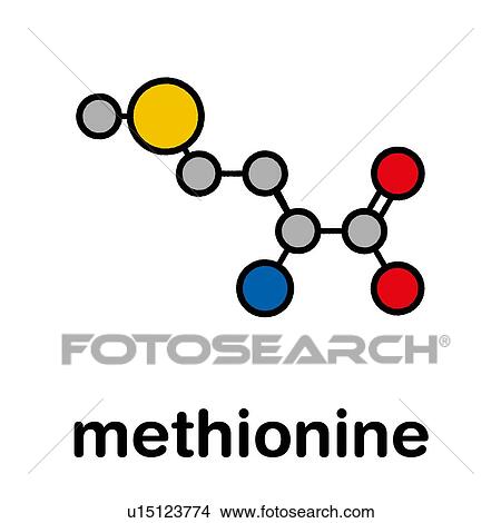 Methionine amino acid molecule, illustration View Large Photo Image Picture - Methionine amino acid molecule, illustration. Fotosearch