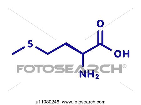 Methionine amino acid molecule, illustration View Large Photo Image Stock Photography - Methionine amino acid molecule, illustration. Fotosearch