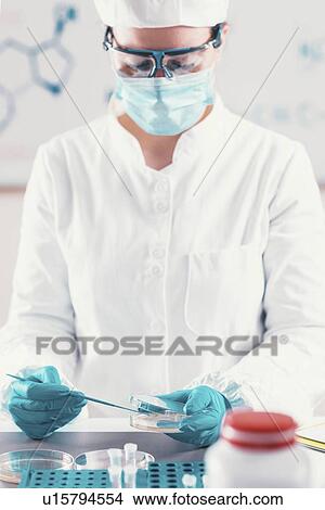 Picture - Microbiologist working in laboratory. Fotosearch