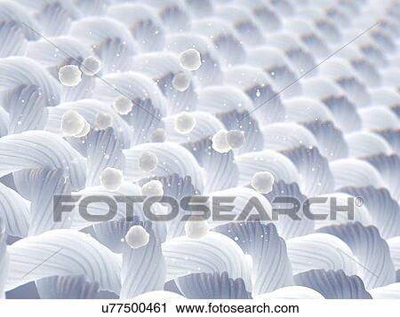 Stock Image - Microscopic laundry detergent particles, illustration. Fotosearch