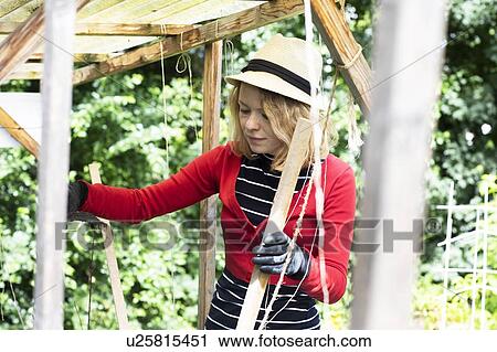 Mid adult woman constructing wooden shelter in her garden View Large Photo Image Stock Image - Mid adult woman constructing wooden shelter in her garden. Fotosearch