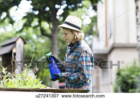 Mid adult woman spraying plants in her garden, side view View Large Photo Image Stock Photo - Mid adult woman spraying plants in her garden, side view. Fotosearch