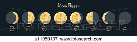 Moon phases, illustration View Large Photo Image Stock Photo - Moon phases, illustration. Fotosearch
