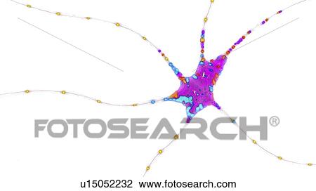 Stock Image - Nerve cell, illustration. Fotosearch
