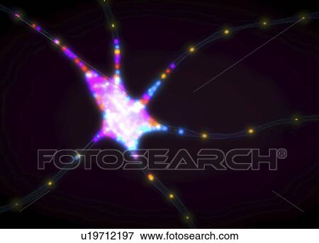 Stock Photo - Nerve cell, illustration. Fotosearch