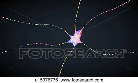 Stock Photograph - Nerve cell, illustration. Fotosearch