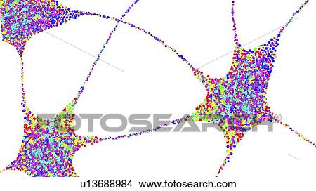 Picture - Nerve cells, illustration. Fotosearch