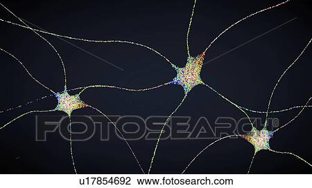 Stock Image - Nerve cells, illustration. Fotosearch