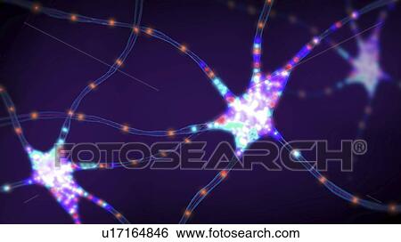 Nerve cells, illustration View Large Photo Image Stock Photograph - Nerve cells, illustration. Fotosearch