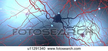 Neural network, illustration View Large Photo Image Stock Image - Neural network, illustration. Fotosearch