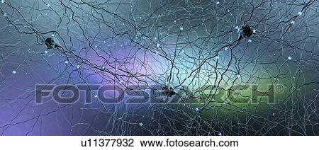 Stock Image - Neural network, illustration. Fotosearch