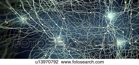 Stock Image - Neural network, illustration. Fotosearch