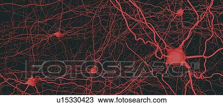Stock Image - Neural network, illustration. Fotosearch